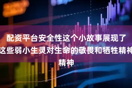 配资平台安全性这个小故事展现了这些弱小生灵对生命的敬畏和牺牲精神